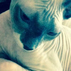 Meet your Posher, Shelly